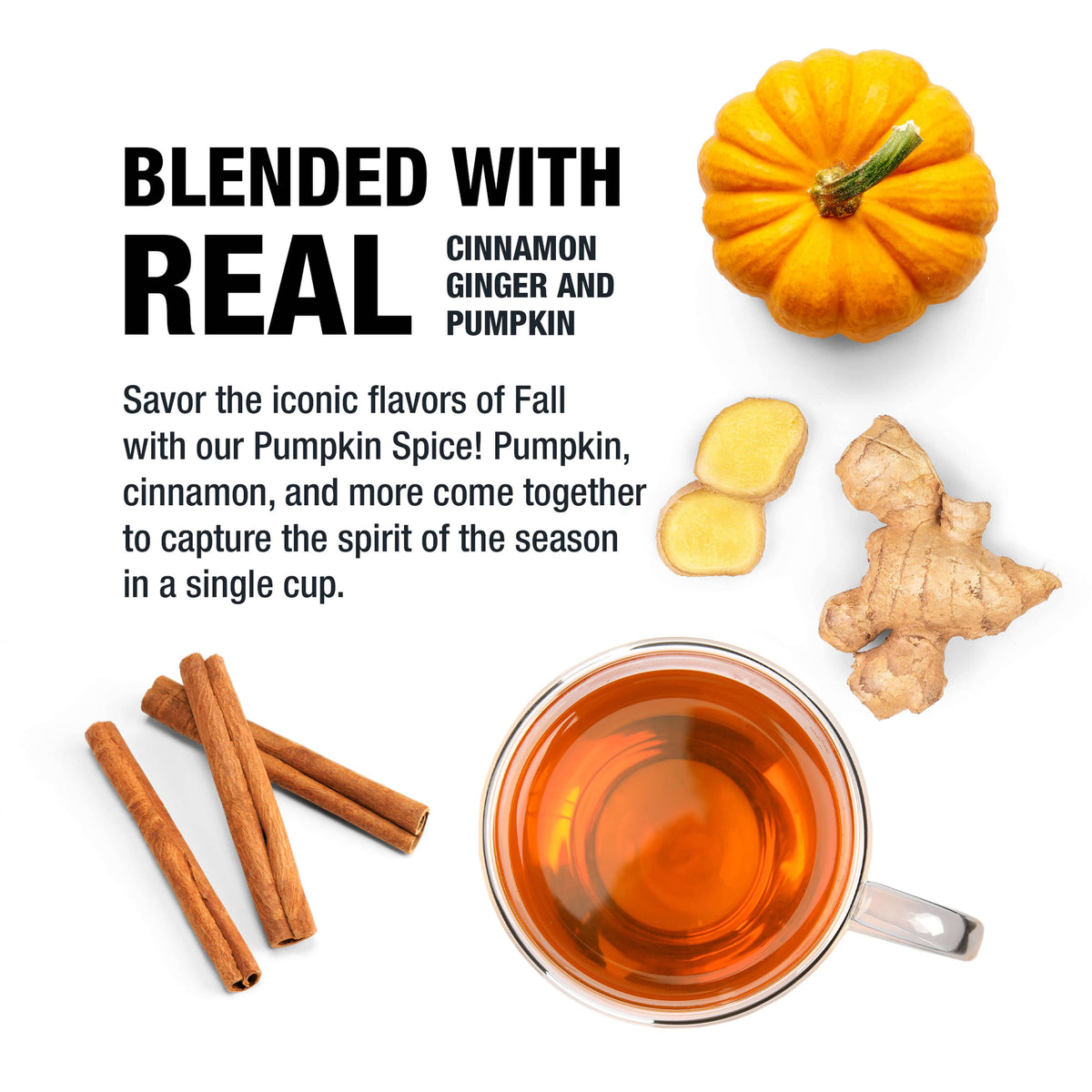 Pumpkin Spice Tea | Spiced Pumpkin Rooibos Loose Leaf