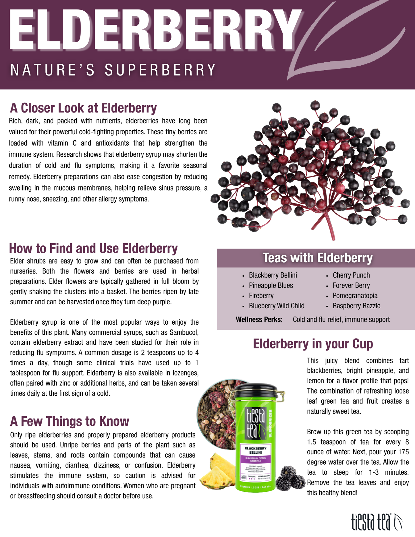 Forever Berry - Tropical Açaí White Tea