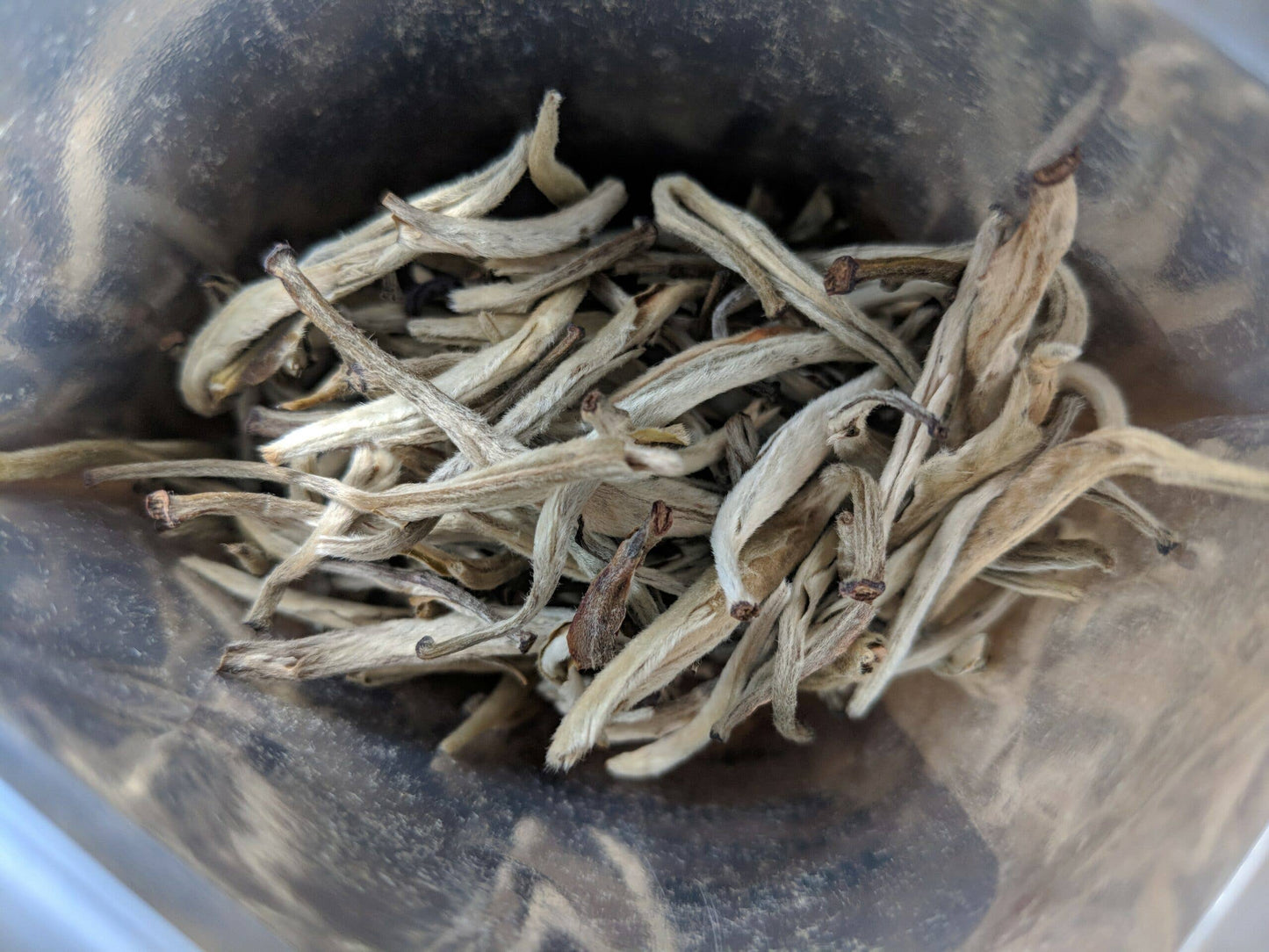 Organic Jasmine Silver Needle: 1 ounce