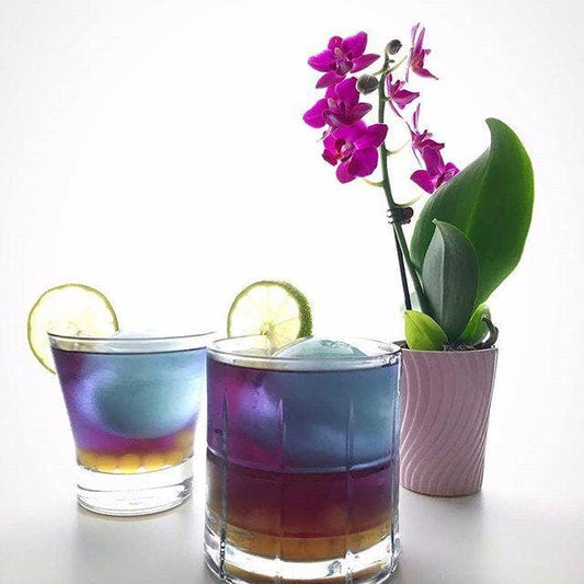 Blue Mango Butterfly Pea Herbal Iced Tea, 6 or 12 Pouches: 12 quart size pouches